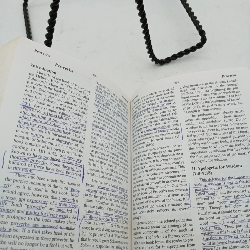 NIV Compact Bible Commentary Paperback‎  By Sailhamer John H  PB